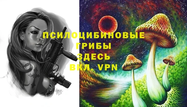дурь Баксан
