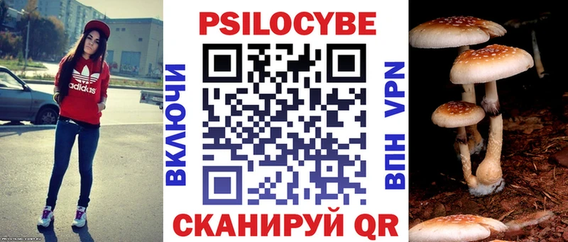 даркнет сайт  Среднеколымск  мега маркетплейс  darknet как зайти  Галлюциногенные грибы Cubensis 